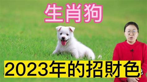 生肖狗幸運色|【狗的幸運色】狗年迎好運！必知屬狗者幸運色，旺運驅邪一整。